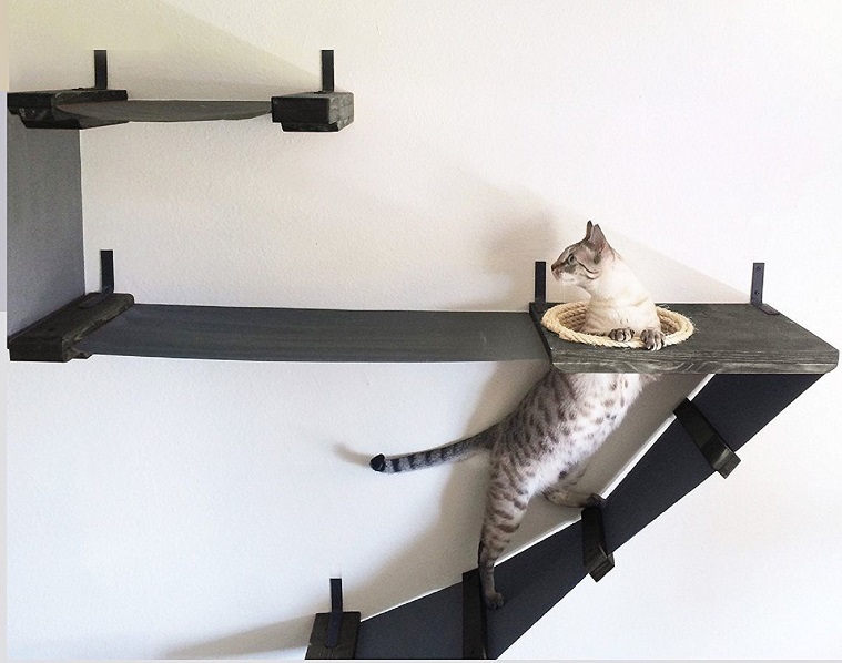 while buying handcrafted cat wall shelves